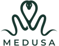 Medusa Case