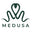 Medusa Case logo
